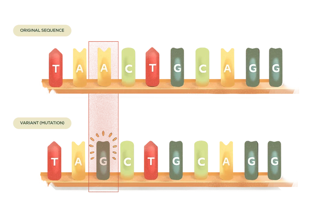 Genetics test results
